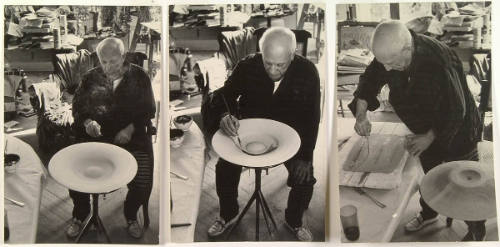 Picasso uses Sole's Skeleton in Designing a Plate