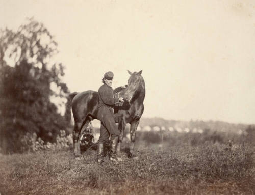 Union Soldier and Horse