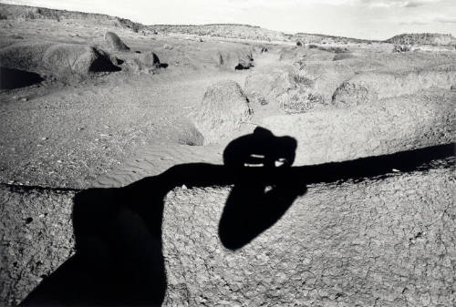 New Mexico