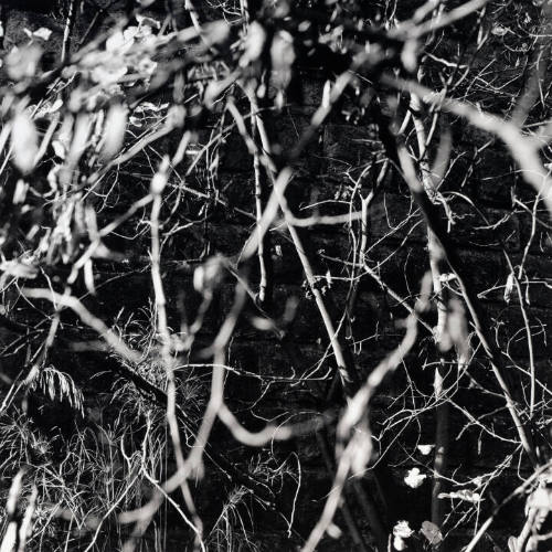 Sojourn: France