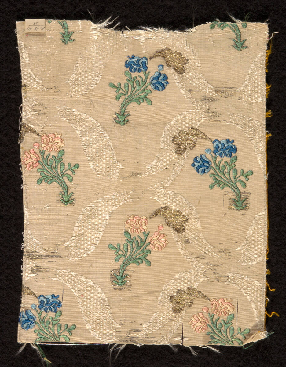 Fragment