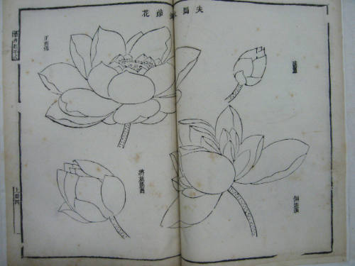 The Mustard Seed Garden Painting Manual, Part 3, Vol. 3: Botanies and Insects