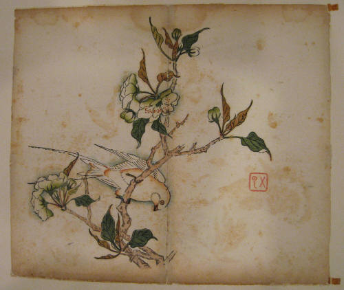 Swallow on Flowering Branch