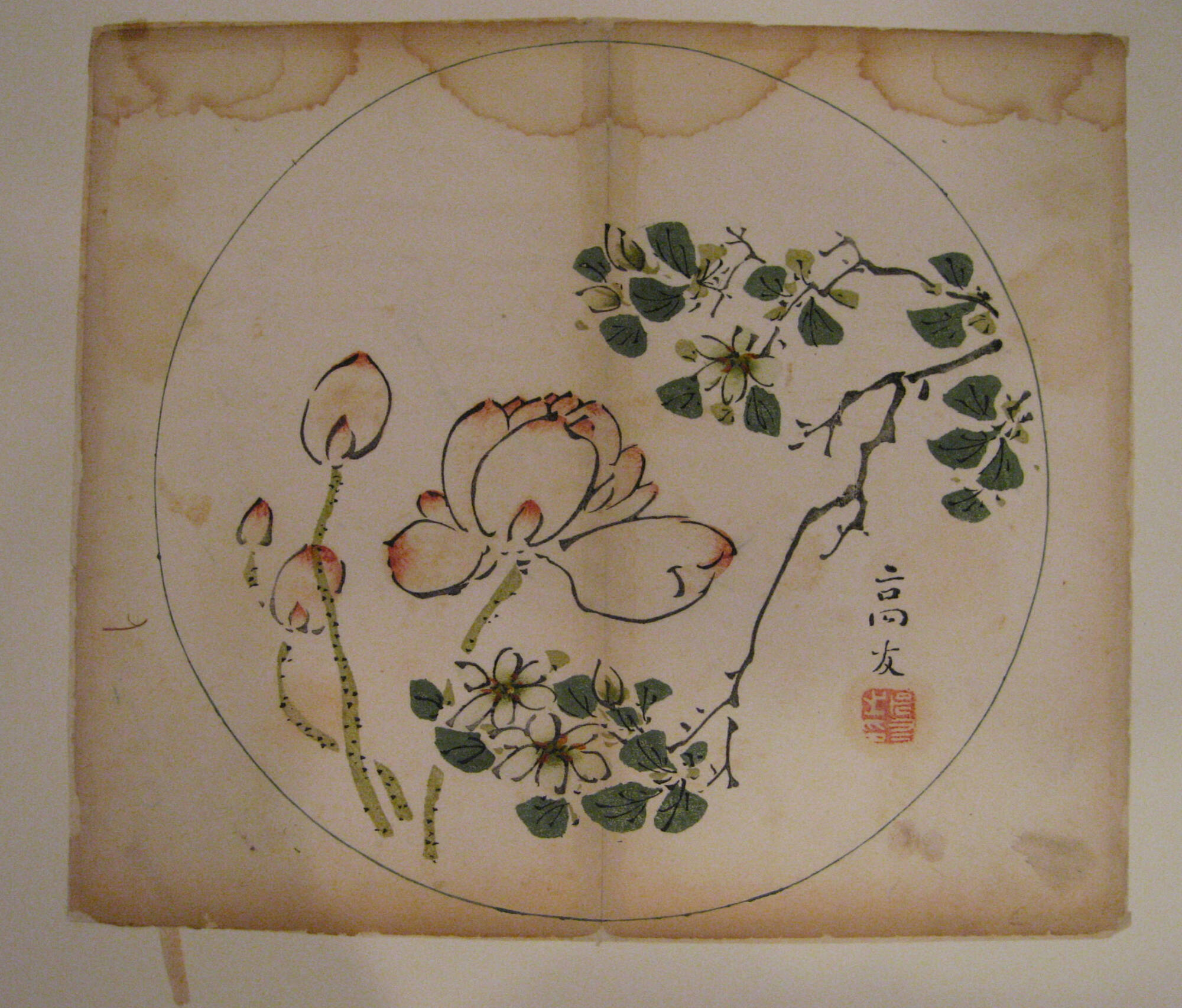 Lotus and Gardenia