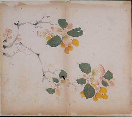 Two Branches of Cherries