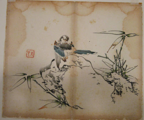 Preening Bird, Rock and Bamboo