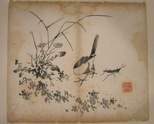 Bird and Grasshopper