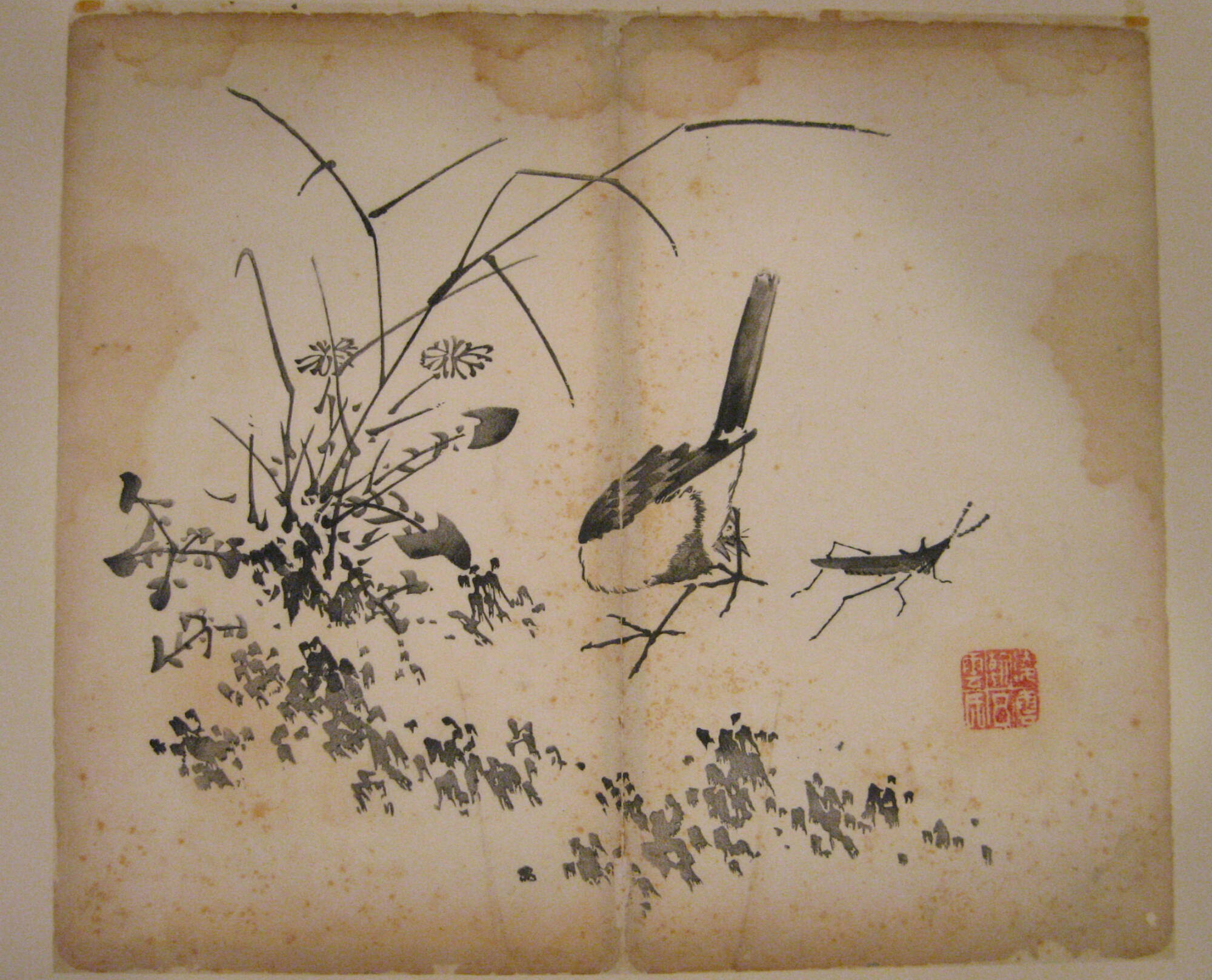 Bird and Grasshopper