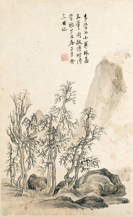 Grove of Trees with Rocks