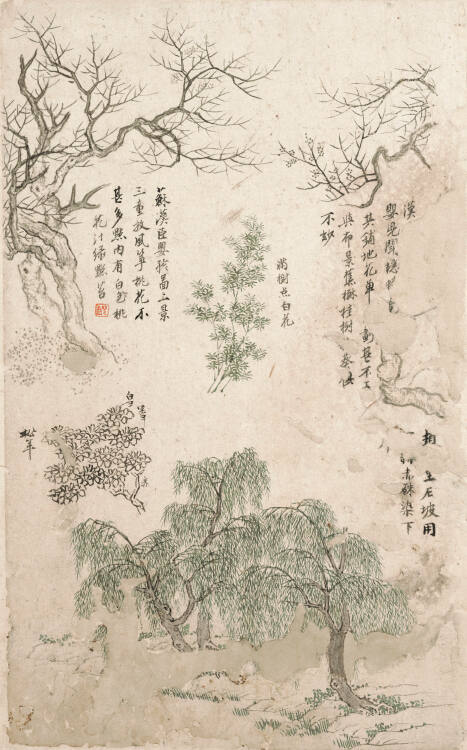 Tree Studies
