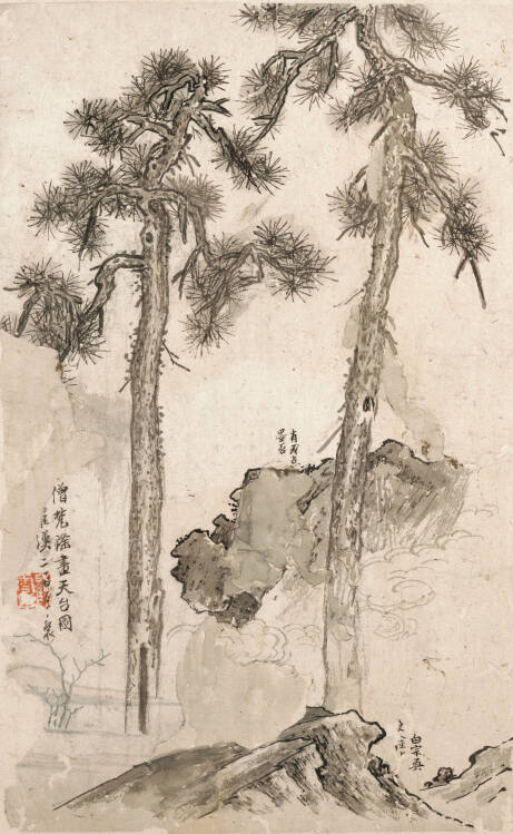 Pine Trees and Rocks