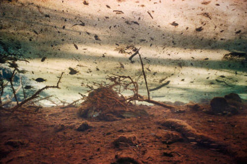 Dust Storm in Catfish Sink