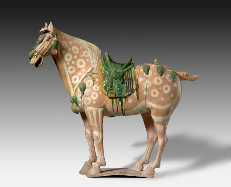 Saddled Piebald Horse