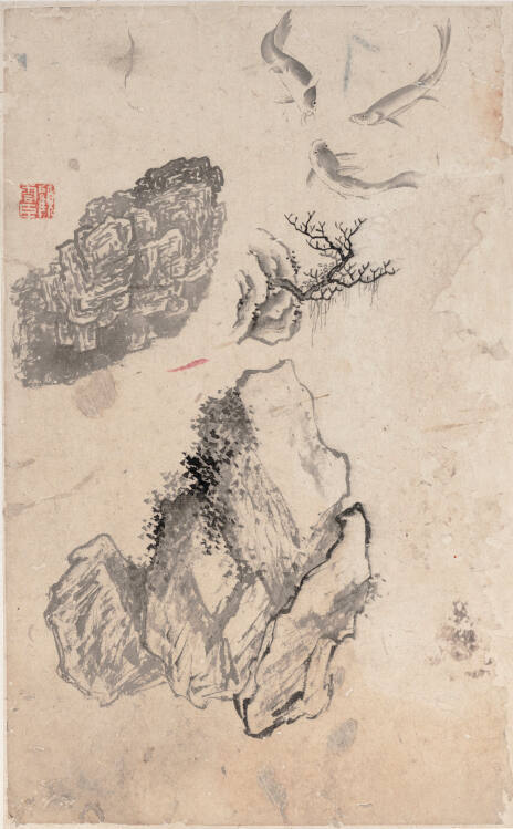 Three Fish with Rocks and Tree Limb