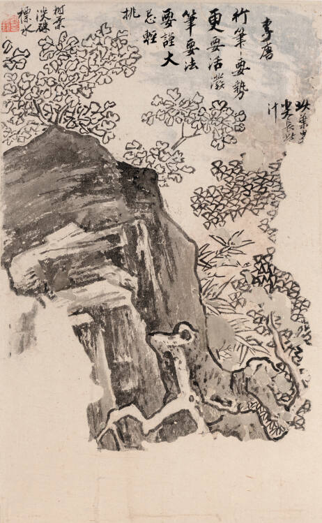 Mountain with Foliage and Tree Branches