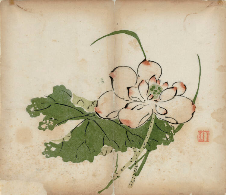 Lotus Blossom and Leaf