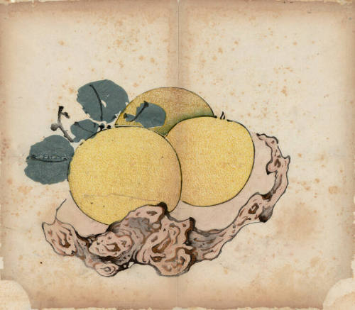 Three Oranges on Knotted Stand