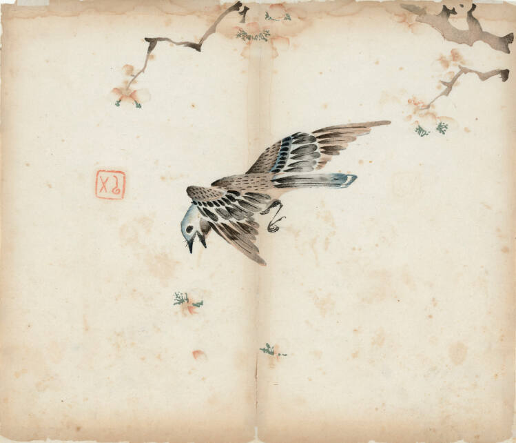 Bird in Flight and Falling Petals