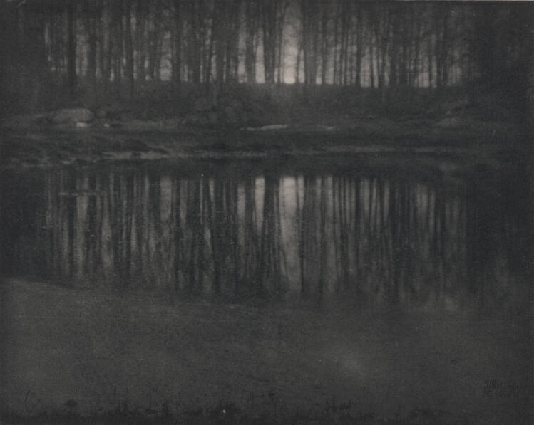 Moonlight:  The Pond