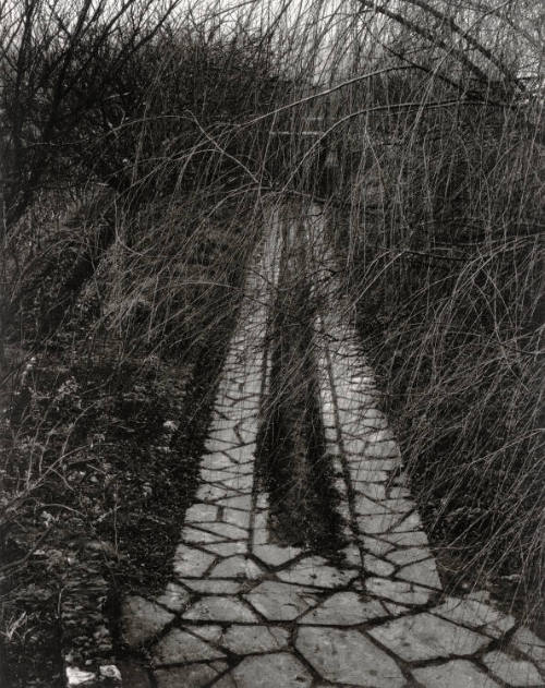 The Walk, Orgeval