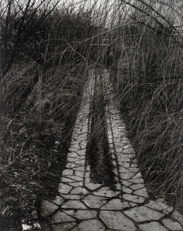 The Walk, Orgeval