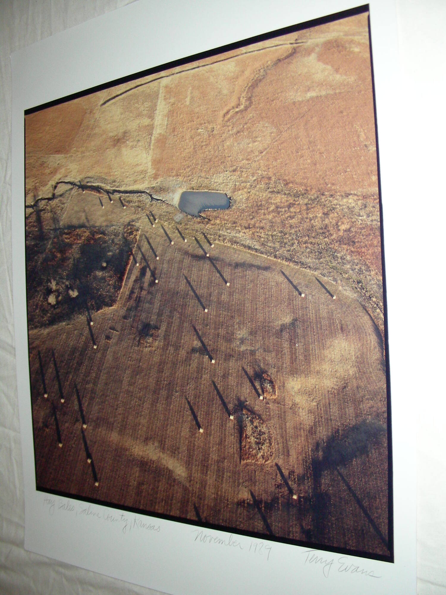 Hay bales, Saline County, Kansas