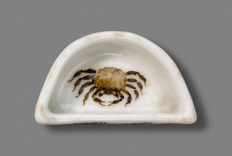 Cricket Feeding Dish