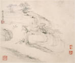 image overall