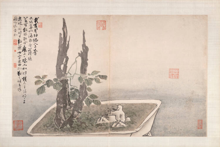 Old Plum in Tray Garden (P'an-tsai la-mei)