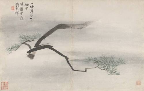 A Pine Branch