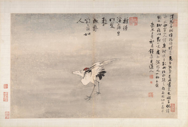 Dancing Crane