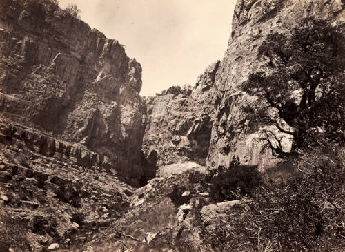 Limestone, near Ruby Valley, East Humboldt Mountains, Nevada