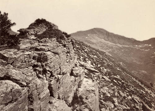 Quartzites, Summit, East Humboldt Mountains, Nevada