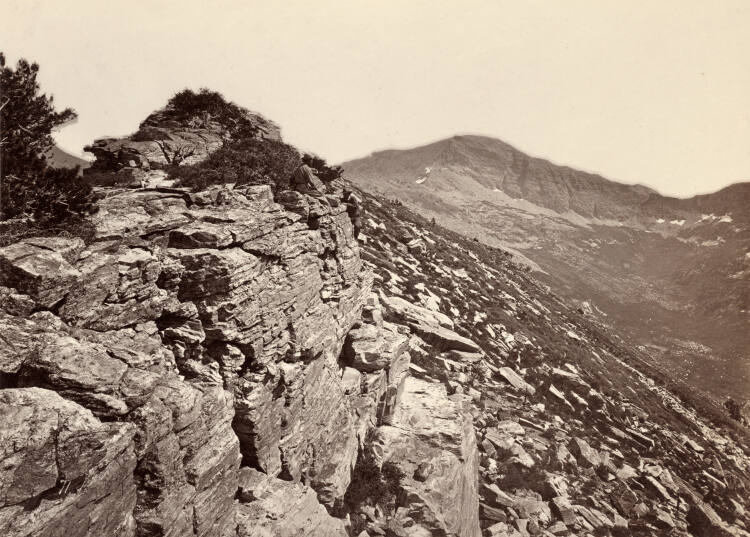 Quartzites, Summit, East Humboldt Mountains, Nevada