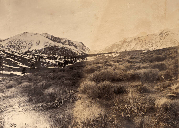 Bloody Canyon Pass, near Mono Lake, California
