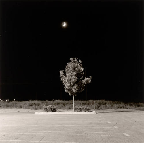 Summer Nights #11