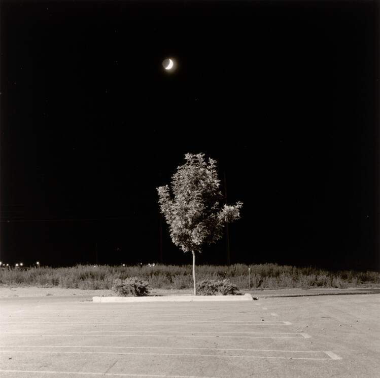 Summer Nights #11