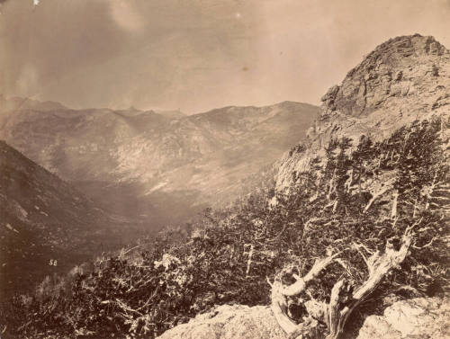 Summit, East Humboldt Mountains, Nevada