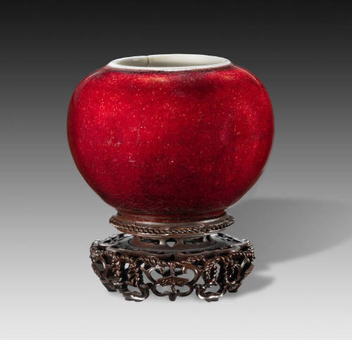 Water Pot