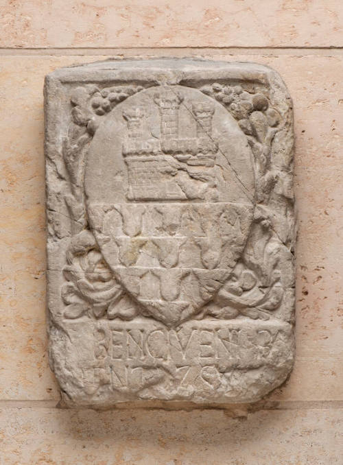 Coat of Arms