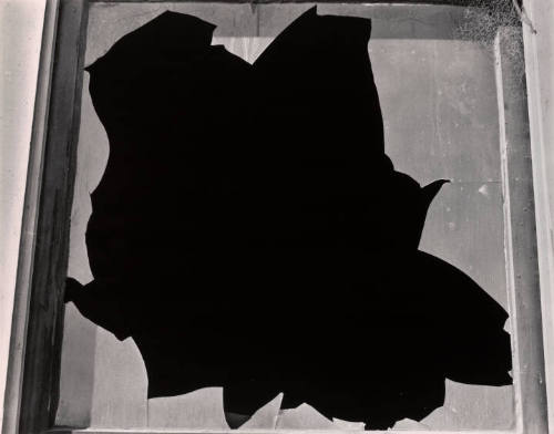 Broken Glass, San Francisco