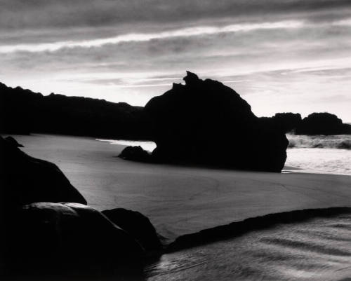 Shoreline