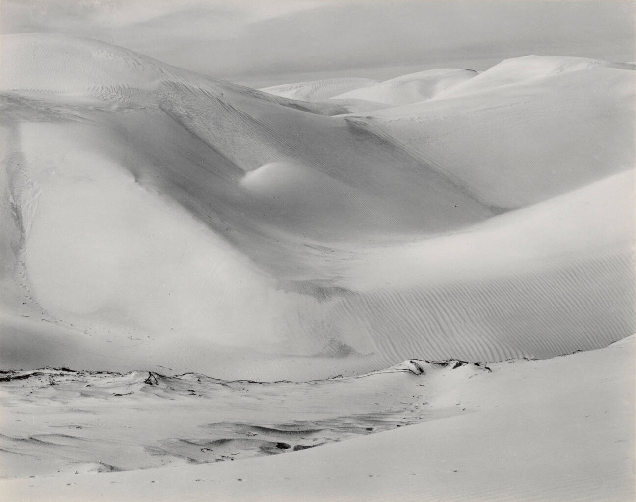 Dunes, Oceano