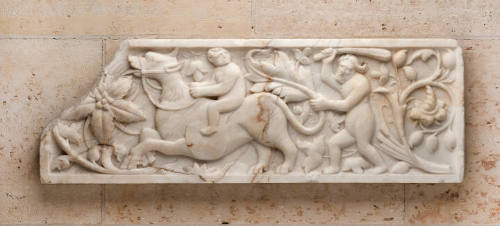 Wildman Relief