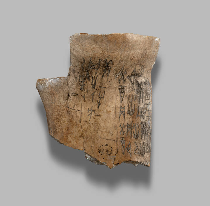 Oracle Bone