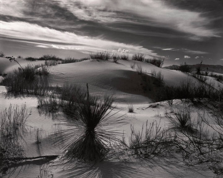 Dune, White Sands, New Mexico