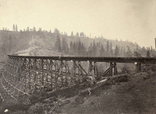 after conservation, 5/2011