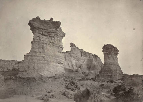 after conservation, 5/2011