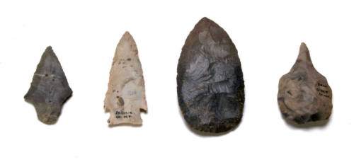 Broad point with rounded base