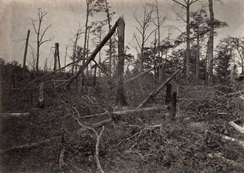 The "Hell Hole," New Hope Church, Georgia